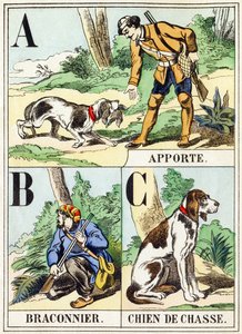 A B C: Bring, Krybskytte, Jagthund - Jagtalfabetet, ca. 1890 (gravering) af Unbekannt