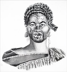En maori visdom af Unbekannt