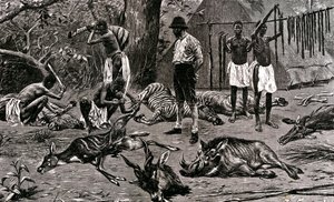 En fantastisk jagtdag! 1900 (gravering) af Unbekannter Künstler