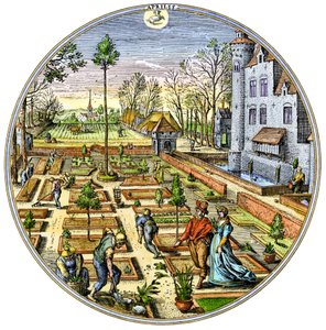 Landbrug: Havearbejde i en europæisk køkkenhave i begyndelsen af foråret omkring 1590 Farvestik fra det 16. århundrede af Unbekannter Künstler