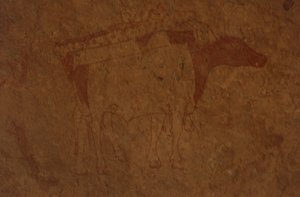 Algeriet, Sahara-ørkenen, Tassili-n-Ajjer Nationalpark, stedet for Sefar, klippemaleri af tyr.