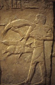 Det gamle Egypten: Saqqarah (eller Saqqara eller Sakkarah): Det gamle imperiums nekropolis, adeliges grav.. Detalje af relieffer, der repræsenterer en fisker.
