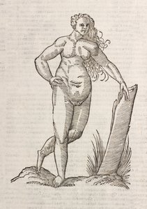 Androgynos af Unbekannt