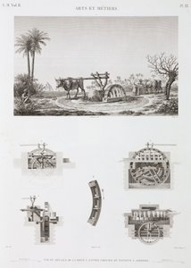 Animal Power Dyredrevet kunstvanding, Egypten, c 1798 af Unbekannt
