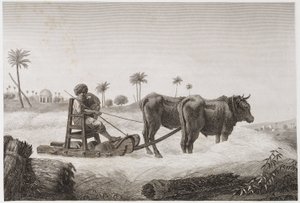 Agerbrug, høsttærskemaskine, Egypten, c 1798 af Unbekannt
