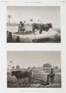 Agerbrug, pløjning Tærskemaskine og plov, Egypten, ca 1798 af Unbekannt