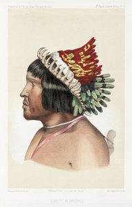 Bororo-høvding, Sydamerika, c 1843-1847 af Unbekannt