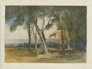 Cannock Chase: vandfarvemaleri, 1848 af Unbekannt