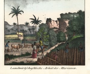 Chamarro-bønder pløjer en mark og laver rækker af plantager i øgruppen Marianerne (USA). Illustration fra Voyage Around the World (1824) af Louis de Freycinet (1779-1842). Litografi til bogen: "Galerie complete en tableaux fideles des peu af Unbekannter Künstler