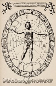 Korrespondance mellem mikrokosmos og makrokosmos. Planche taget fra "Mundus subterraneus" af Athanase Kircher (1601-1680) af Unbekannter Künstler
