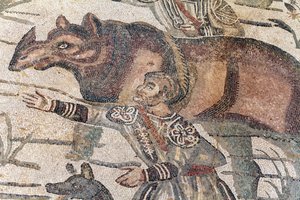 Detalje af den store jagtmosaik. Et næsehorn bliver ført op på en båd for at blive transporteret til den nærmeste havn. 3. - 4. århundrede. Roman Villa of the Casale, Sicilien. UNESCO-sted. af William M. Timlin