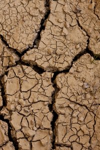 Dry II (fotografi) af Unbekannter Künstler