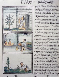 Spiselige planter, side fra Bog XI af den florentinske Codex, tosproget version på spansk og Nahuatl, General History of the Things of New Spain, af den spanske missionær Fray Bernardino de Sahagun (1499-1590). Aztekisk civilisation af William M. Timlin