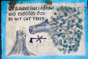 Miljøbeskyttelse; malet tegn; """ Skær ikke træer""""" der viser et fældet træ og en overstreget økse; Nuwara Eliya; Sri Lanka; Asien af Unbekannt