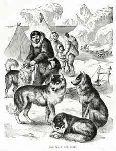 Eskimoer og hunde. 1902 (medlemmer) af Unbekannt