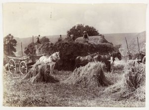Landbrugsscener, høst og opbevaring, høst før 1900, c 1890 af Unbekannt
