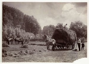 Landbrugsscener, høst og opbevaring, høproduktion før 1900, ca. 1890 af Unbekannt