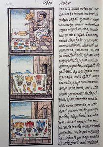 Fjerbearbejdning efter den spanske erobring, side fra Florentine Codex, tosproget version på spansk og Nahuatl, General History of Things of New Spain, af den spanske missionær Fray Bernardino de Sahagun. Aztekisk civilisation af William M. Timlin