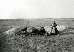 Første Verdenskrig 14-18 (1914-1918): tre franske soldater begraver en død hest - fotografi på glasplade af Unbekannter Künstler