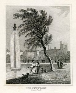 Fountain, Green Park af Unbekannt