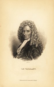 Francois le Vaillant eller Levaillant, fransk forfatter, opdagelsesrejsende, naturforsker og ornitolog af Unbekannt