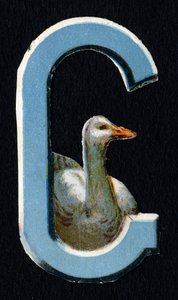 G kan lide Goose. Beetle decoupis med temaet dyr. Gravering. Serie af 26 vaffelkromolitografier af engelsk oprindelse. Redaktør og illustrator ukendt. Slutningen af det 19. århundrede. Mål: 5,5 x 3,5 cm af Unbekannt