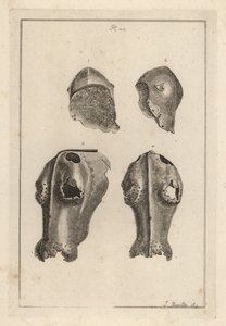 Hjelm 1,2 og jernkanfron eller chafron 3,4, der tilhørte Guy, Earl of Warwick af Unbekannt