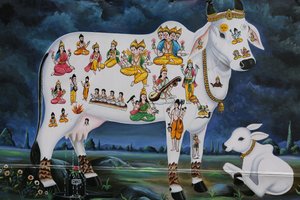 Hinduisk maleri. Hellig ko og kalv. Indien af Unbekannt