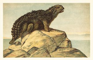 Hylaeosaurus armatus, uddød planteædende ankylosaurisk dinosaur 1908 (litografi) af Unbekannter Künstler