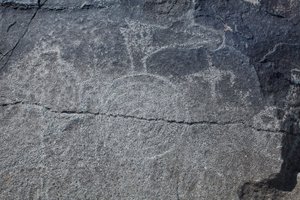Indiske helleristninger - Dyre- og symbolsk repræsentation - Petroglyph National Monument - Albuquerque, New Mexico, USA (USA) af William M. Timlin