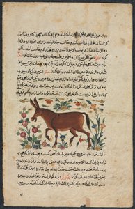 Andet (fundet), fra en nezhantami-besætning (fremragende bog om vi vil ankomme) fra Shahmarda Ibn Abi al-Khair af Unbekannt