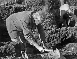 Kong Gustave af Sverige af Unbekannt