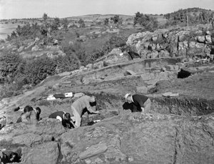 Kong Gustave af Sverige af Unbekannt