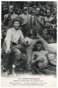 Cynocephalic abe med løvehoved, ca. 1910 (litho) af Unbekannt