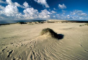 Litauen, Klaipeda, Curonian Spit, Nida, bevægende klitter kaldet Preussisk Sahara af William M. Timlin