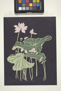 Lotus (flerfarvet skåret papir) af Unbekannter Künstler