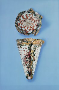 Louis XV snusdåser i guld i form af skaller af B.Sagaret, Paris (1715-74) af Unbekannt