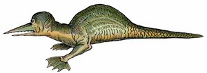 Havdrage (Draco marinus), xylografi taget fra "Paralipomena accuratissima historiae omnium animalium quae in voluminibus Aldrovandi desiderantur/Bartholomaeus Ambrosinus... summo labore collegit; Marcus Antonius Berna bibliopola bononiensis propri af Unbekannter Künstler