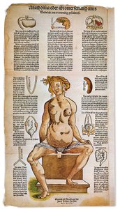 Medicin: anatomisk tavle, der beskriver den kvindelige anatomi fra en medicinsk behandling i renæssancen. Omkring figuren af en siddende kvinde er oplistet og illustreret vitale organer som lever, lunger og mellemgulv, mave og forplantningsapparat. Stik i  af Unbekannter Künstler