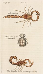 Mikroskopie von Unbekannt