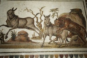 Mosaik af dyrekampe: tiger, der overfalder to nat-primagre. II s AD/Musee d