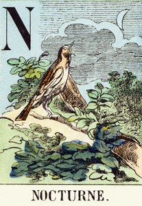 N : Nocturne - Jagtalfabetet, ca. 1890 (gravering) af Unbekannt
