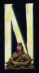 N ligesom Nest. Beetle decoupis med temaet dyr. Gravering. Serie af 26 vaffelkromolitografier af engelsk oprindelse. Redaktør og illustrator ukendt. Slutningen af det 19. århundrede. Mål: 5,5 x 3,5 cm af Unbekannt