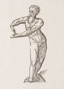 Nigrita labio inferiori pendulo af Unbekannt