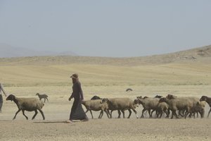 Nomadetelte mellem Tamar og Ashkhaneh, Iran 2022 (fotografi) af Unbekannter Künstler