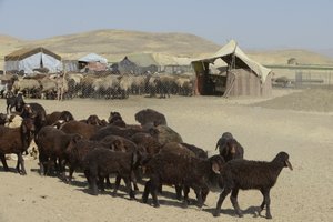 Nomadetelte mellem Tamar og Ashkhaneh, Iran 2022 (fotografi) af Unbekannter Künstler