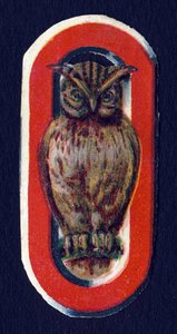 O som Ugle. Beetle decoupis med temaet dyr. Gravering. Serie af 26 vaffelkromolitografier af engelsk oprindelse. Redaktør og illustrator ukendt. Slutningen af det 19. århundrede. Mål: 5,5 x 3,5 cm af Unbekannt