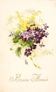Gammelt postkort/Violet og Mimosa af Unbekannt