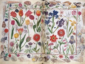 Sider fra albummet Amicorum af Philipp Hainhofer, 1596-1633 af Unbekannt