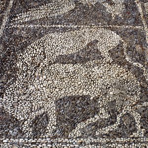 Panter angriber en tyr (stenmosaik) af Unbekannt